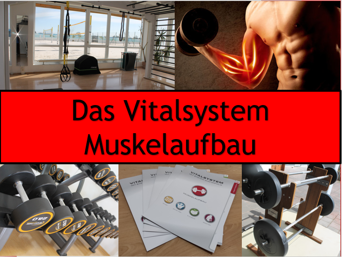 vitalsystem-muskel-1